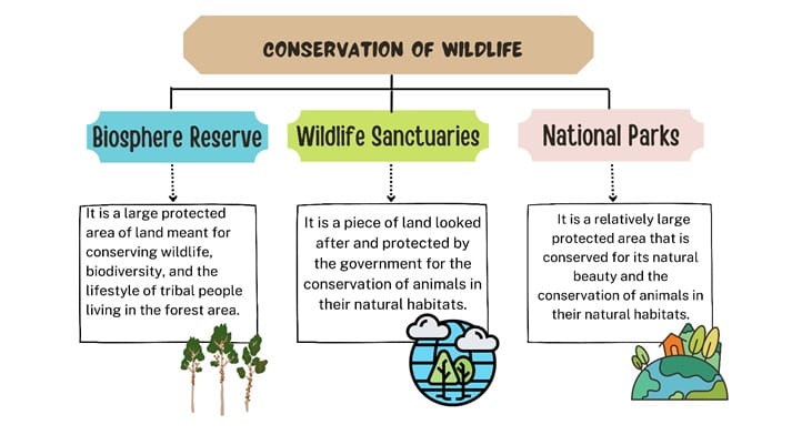 Conservation of Wildlife