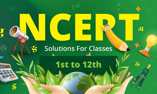 Orchids International School NCERT Solution