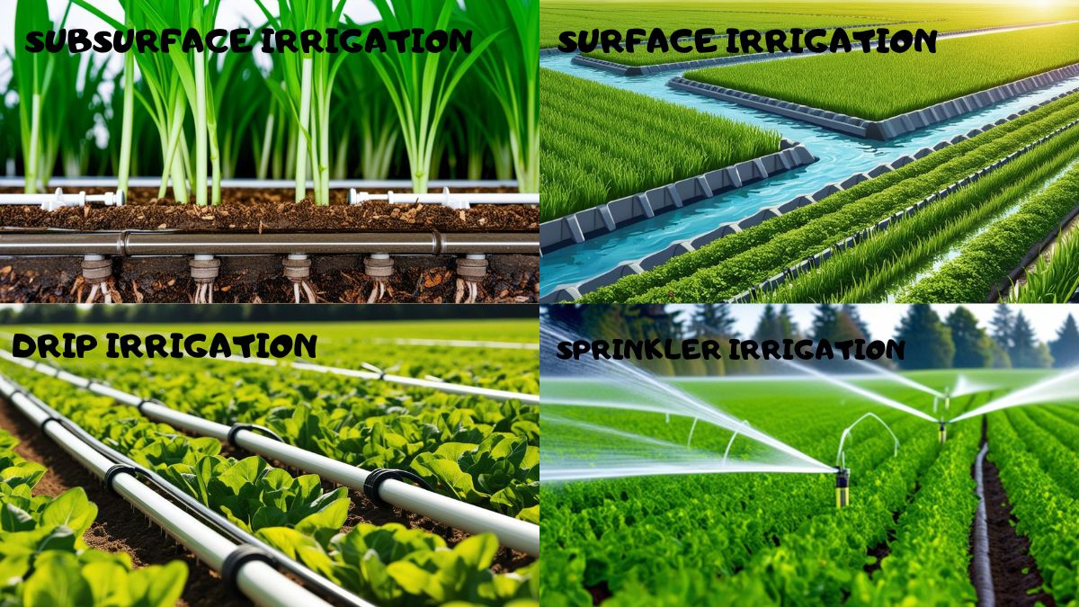 types of irrigation