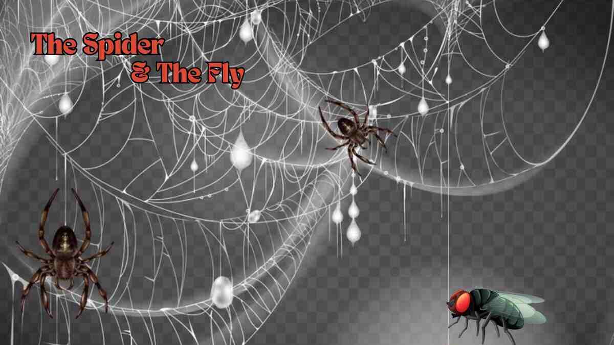 The spider and the fly