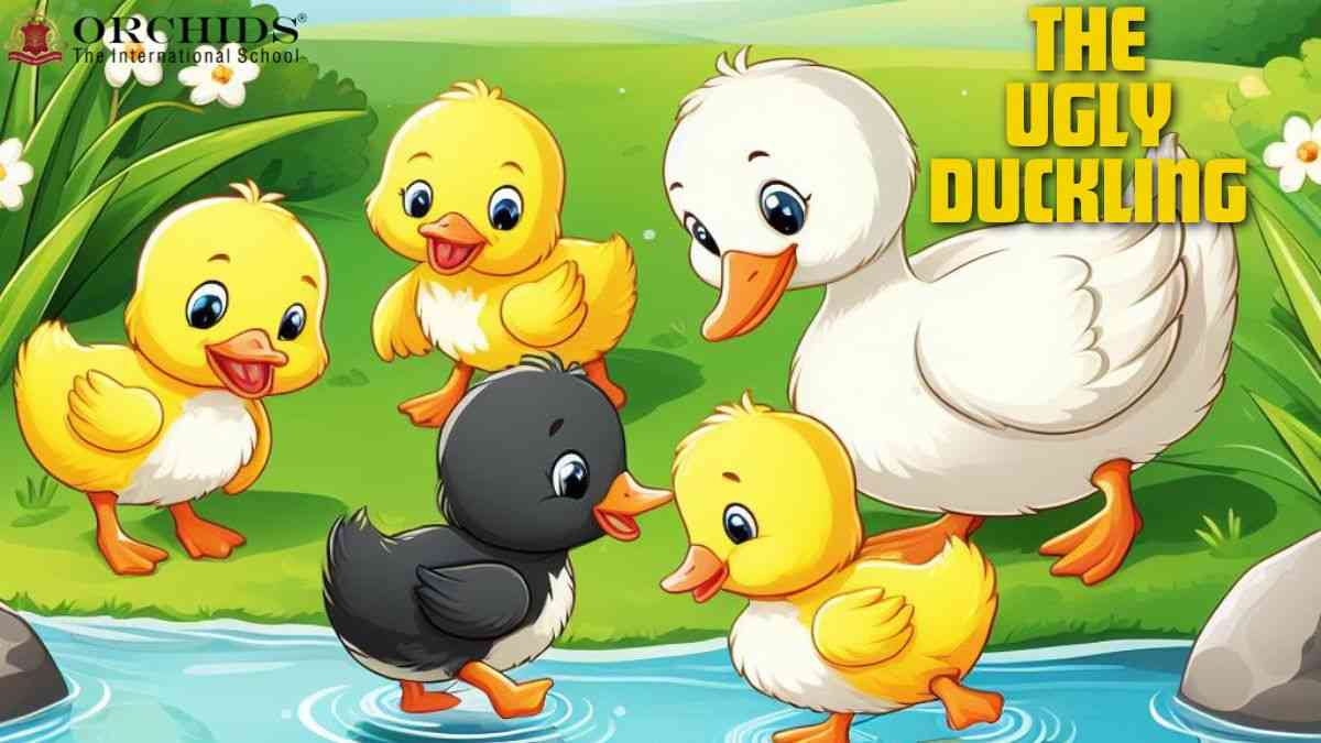 Ugly Duckling Story