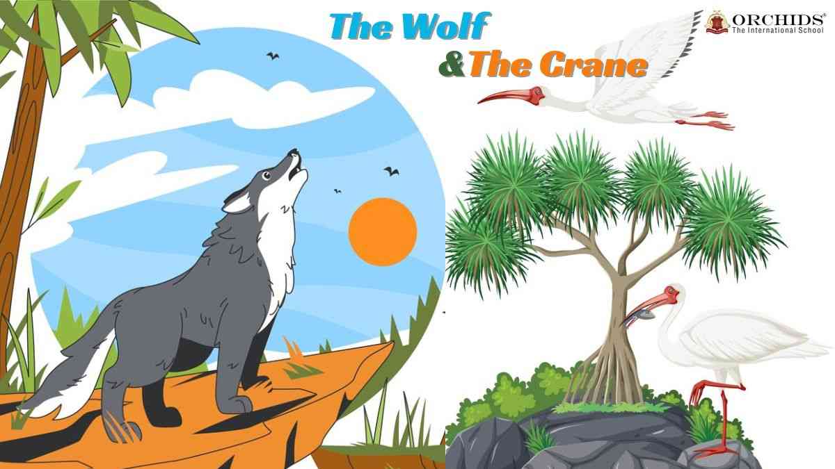 wolf and crane