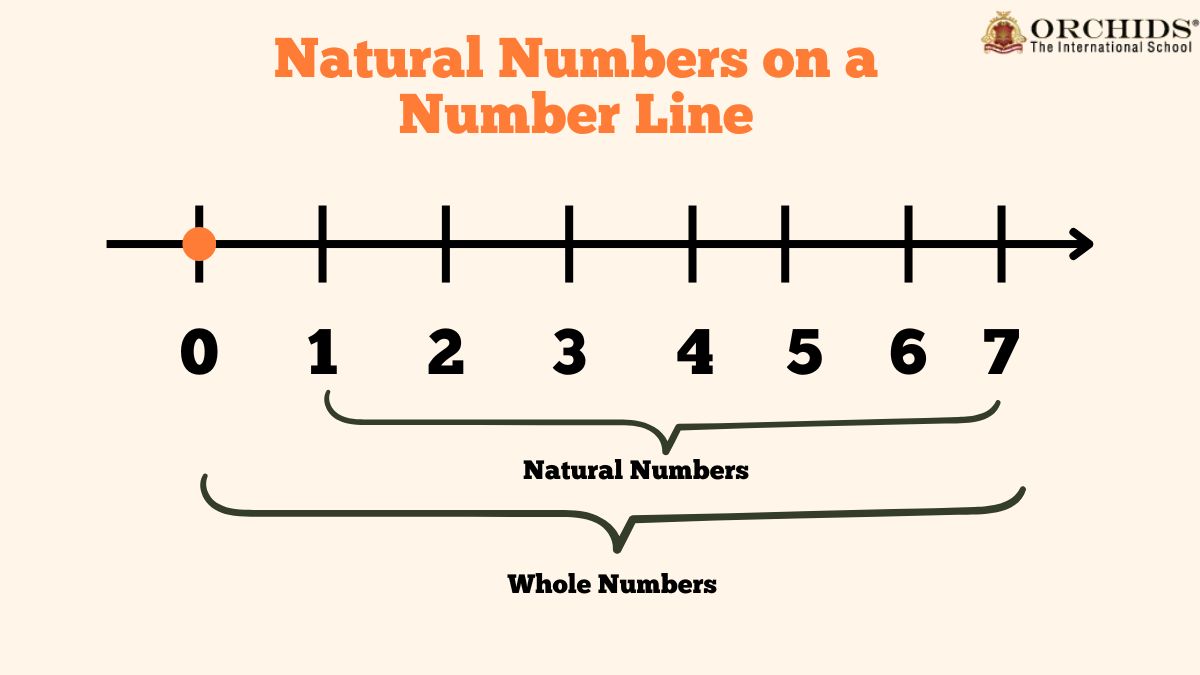 natural numbers on a number line
