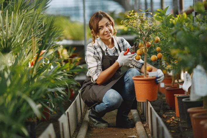 plant care