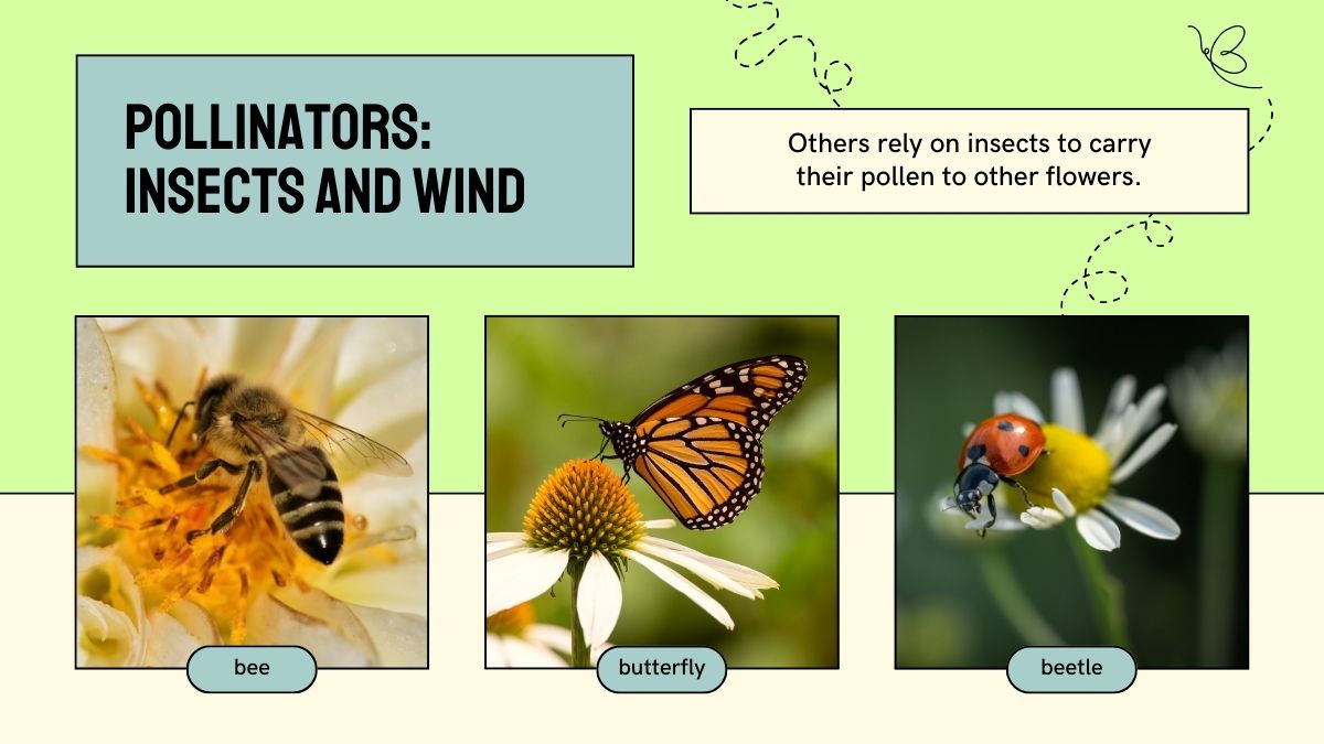 agents of pollination
