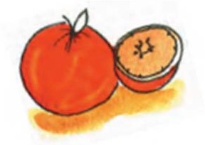 https://cdn-cms.orchidsinternationalschool.com/media/question/Grade-2-Ch-2-Question-9-Number-of-seeds-in-an-orange.jpg