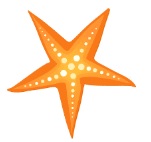 G4_2_QP1_Starfish