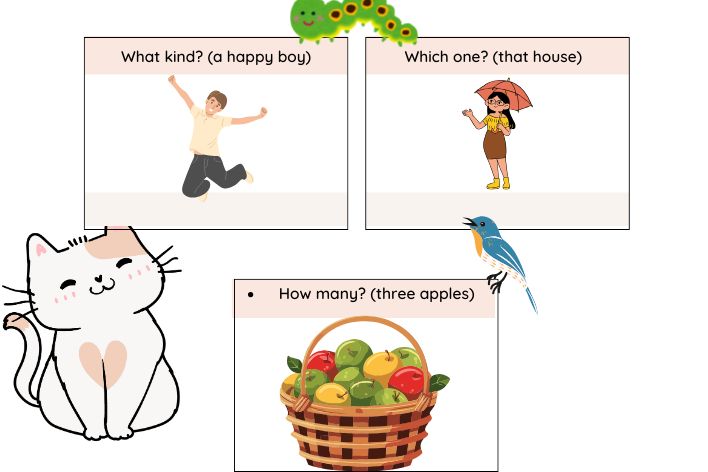 special questions