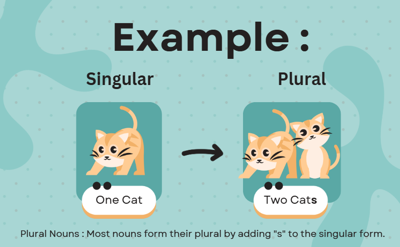 Singular and plural