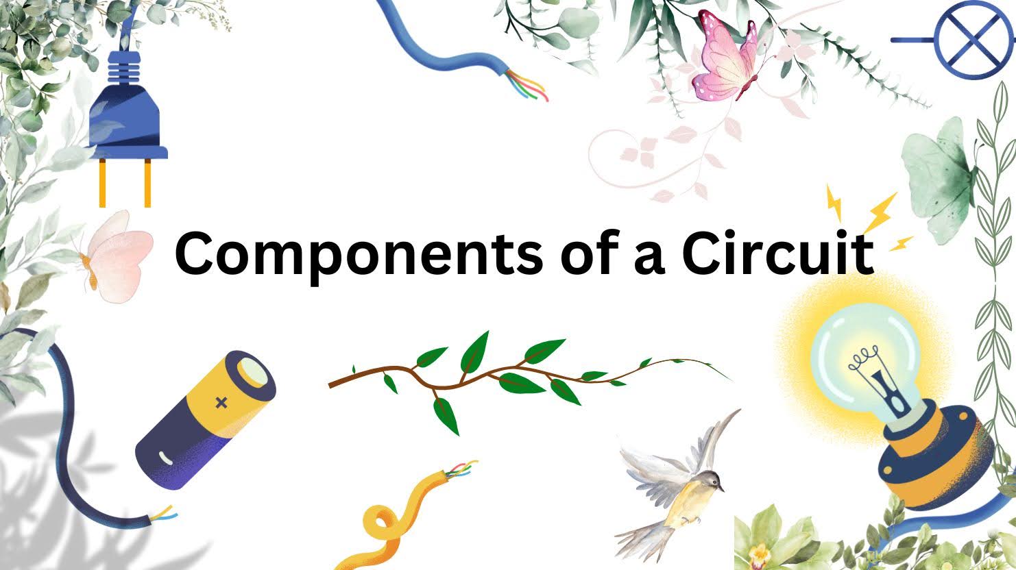 components of circuit