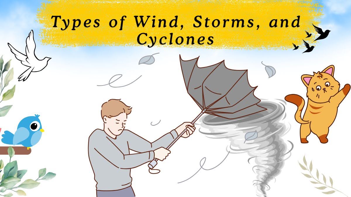 types of wind storms and cyclones 