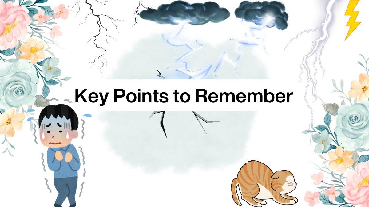 key points 