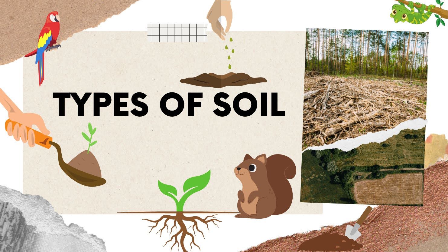 types of soil