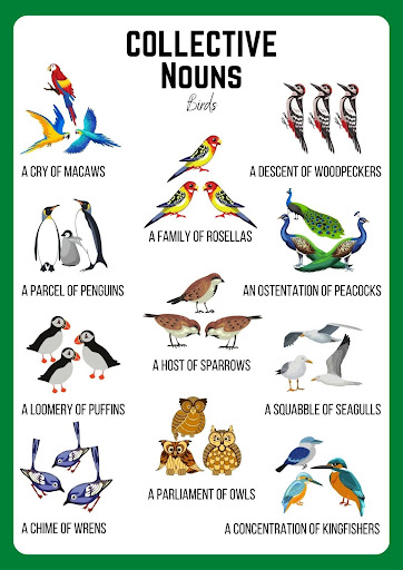 Collective nouns