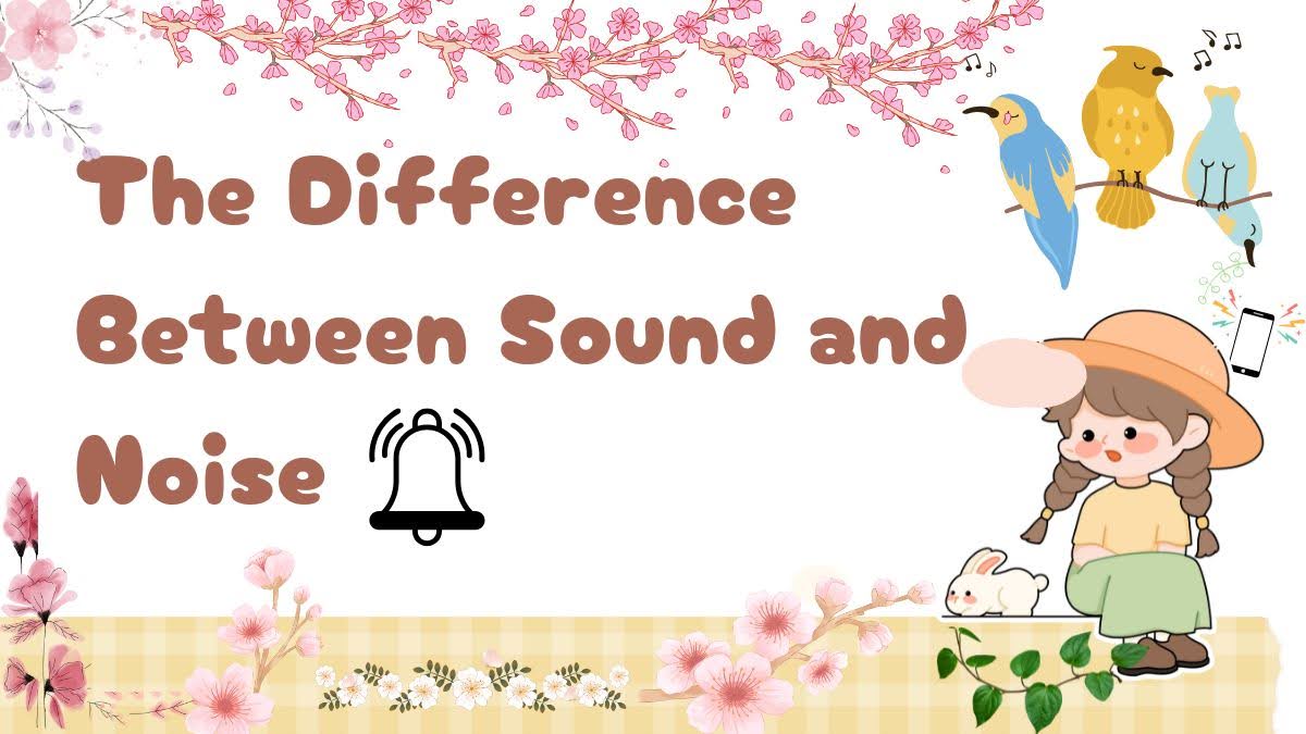 difference between sound and noise