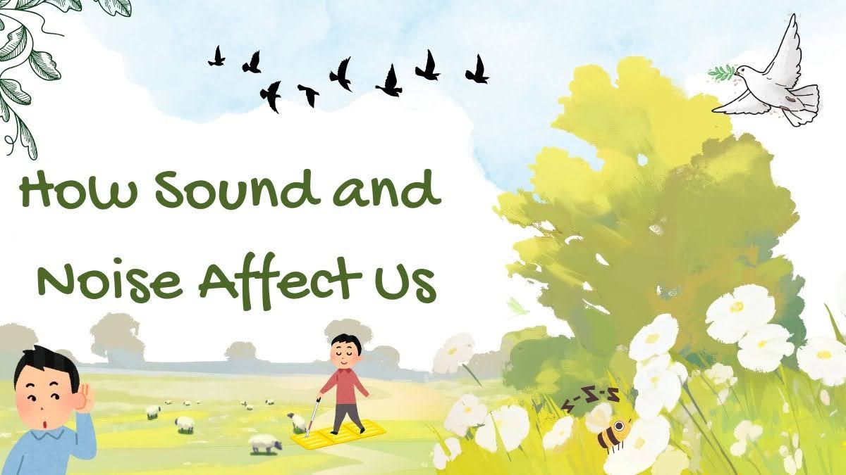 how sound and noise affects us 