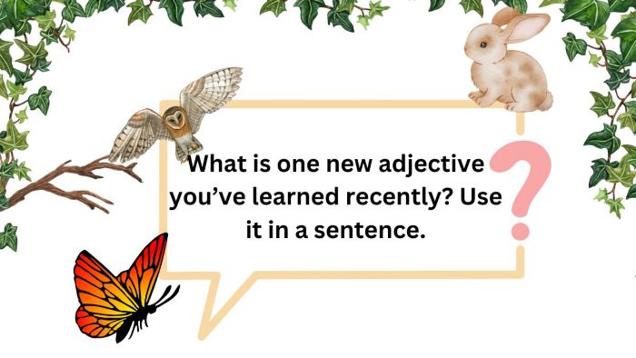 Using Adjective