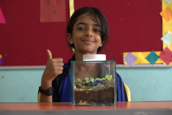 Terrarium: A tiny ecosystem in a glass jar